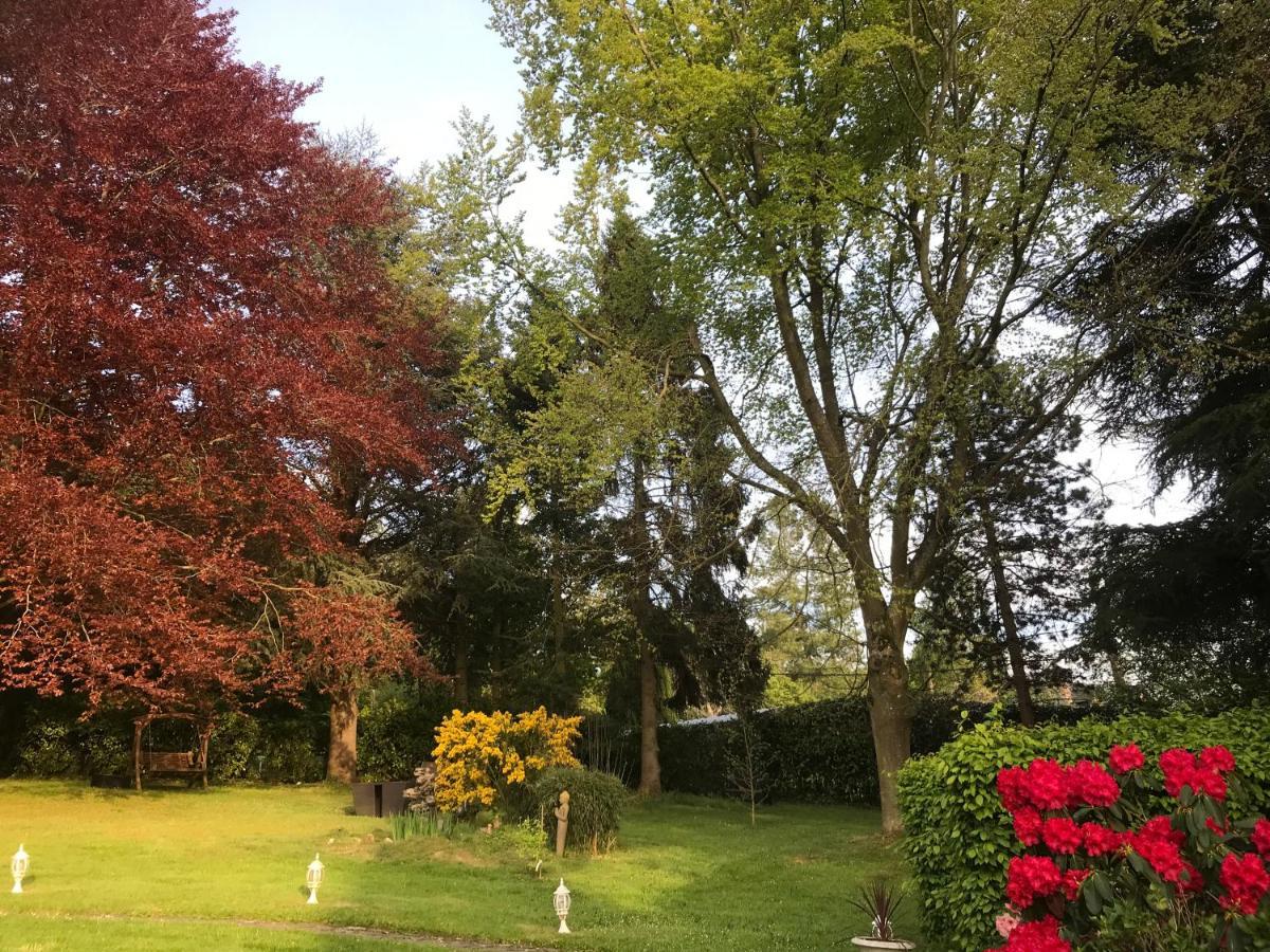Les Chaumieres Du Pays D'Auge Bed and Breakfast Le Breuil-en-Auge Exteriör bild